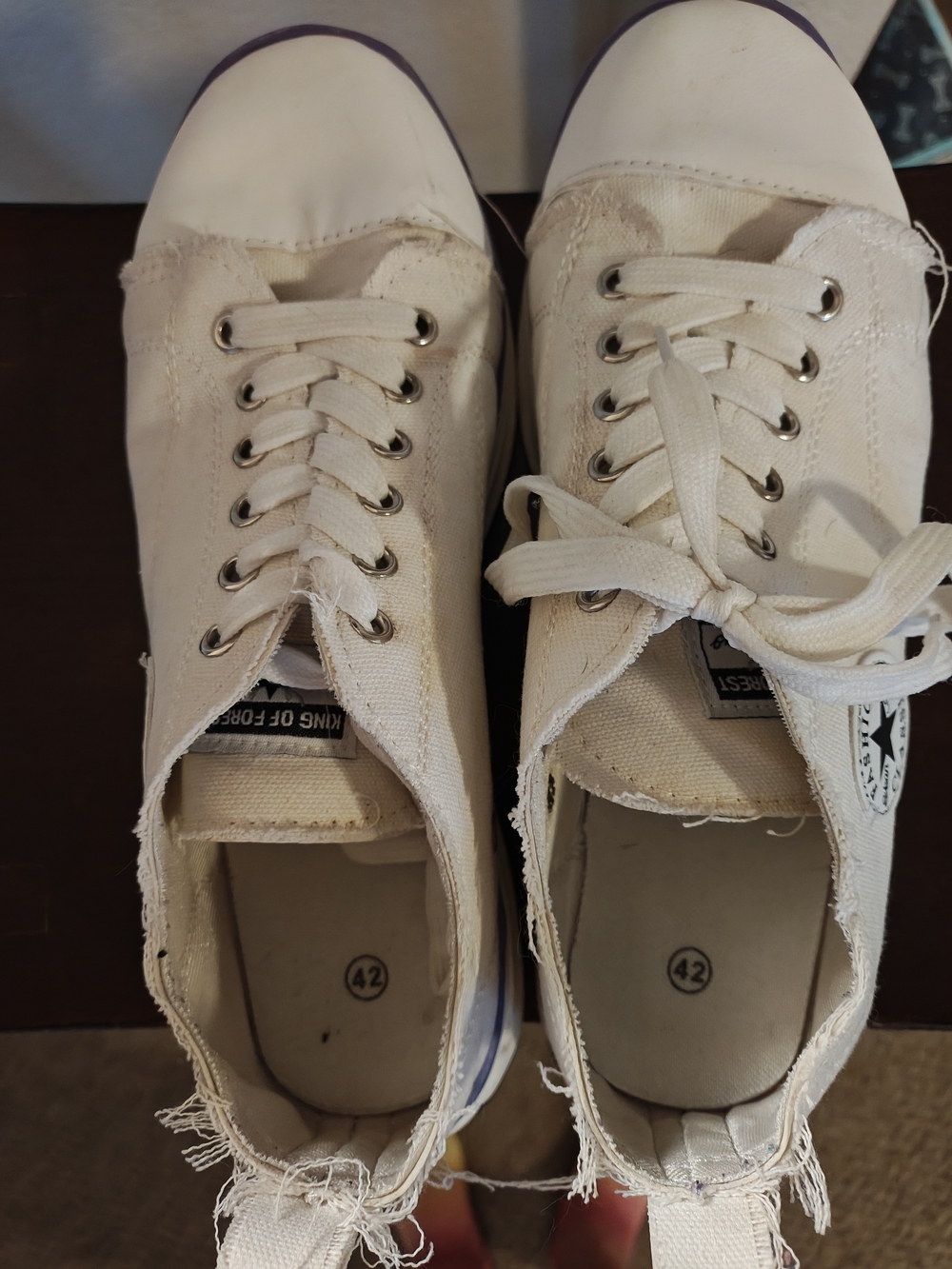 Casual White Canvas Women’s Sneakers